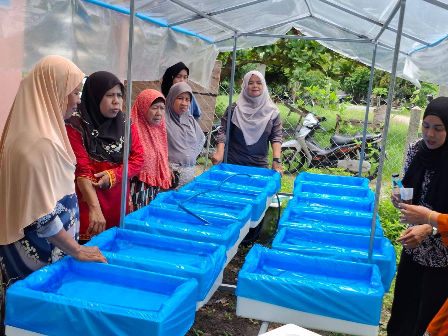 🥬 ศกร.ตำบลตะลุโบะส่งเสริมอาชีพ “ปลูกผักไฮโดรโปนิกส์” หลักสูตร 20 ชั่วโมง