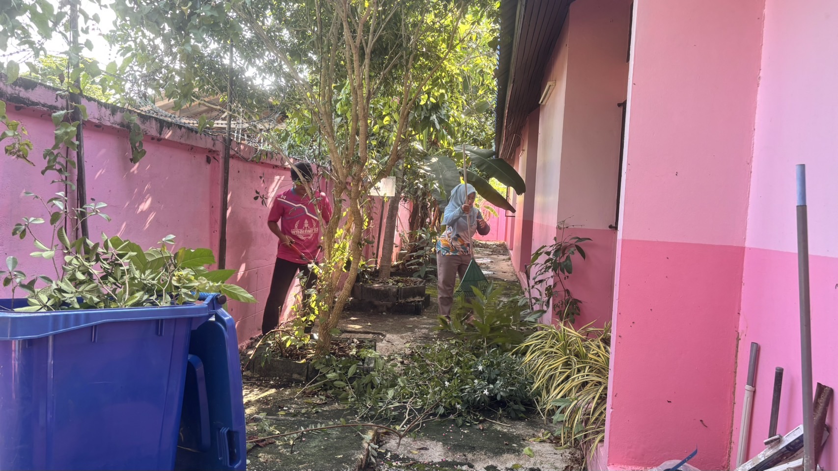 สกร.ระดับอำเภอสายบุรี มอบหมายให้บรรณารักษ์ห้องสมุด ปรับปรุงภูมิทัศน์โดยรอบให้มีความสะอาด เป็นระเบียบเรียบร้อย สวยงาม และมีความปลอดภัย